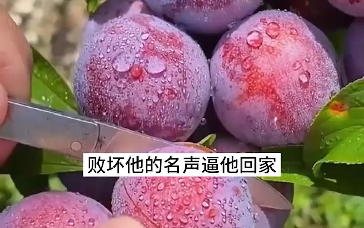 [图]腰软知青下山后被最野糙汉搂腰撩13