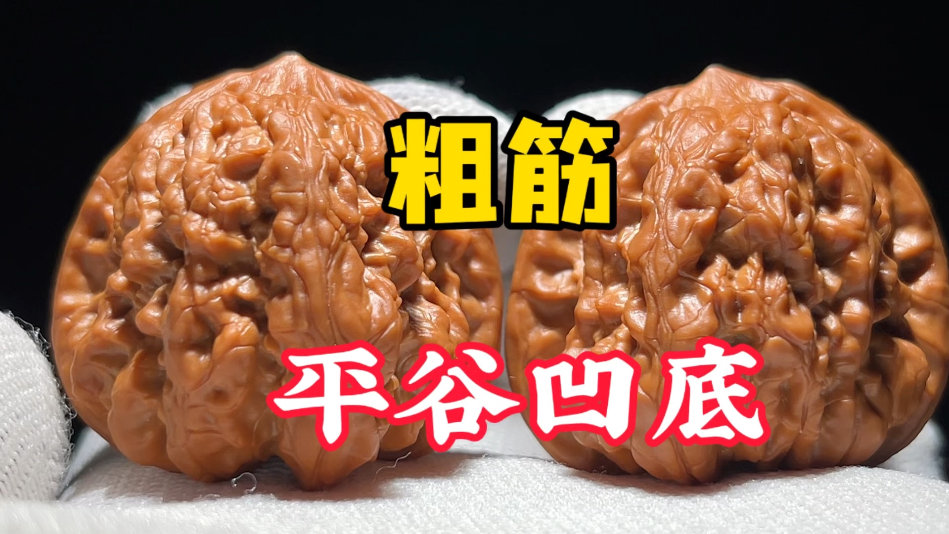 我滴乖乖 【平谷凹底】拥有了【平谷粗筋】的特质