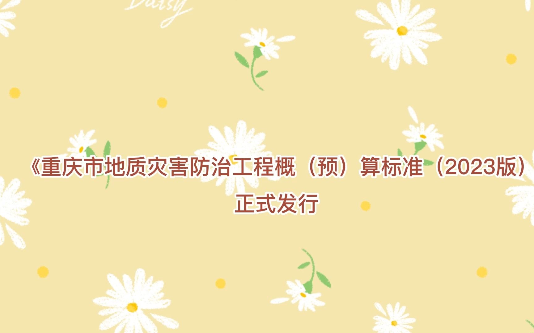 《重庆市地质灾害防治工程概(预)算标准(2023版)》正式发行哔哩哔哩bilibili