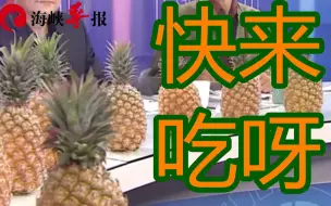 Download Video: 一天吃18公斤菠萝有多难？台湾节目示范给你看