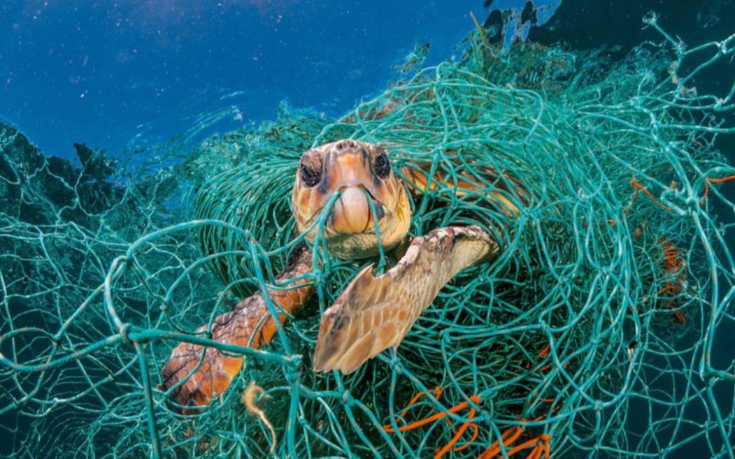 3900米海底深处,中国潜龙3号拍到了这些照片,人类该反思了!哔哩哔哩bilibili