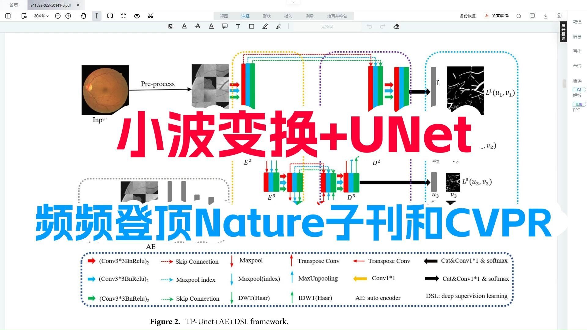 小波变换+UNet,性能猛超SOTA,频频登顶Nature、CVPR!这波补血必须上!哔哩哔哩bilibili