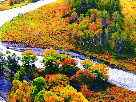 秋意浓浓风景如画哔哩哔哩bilibili