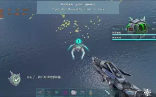 猿狐 搜索结果 哔哩哔哩 Bilibili