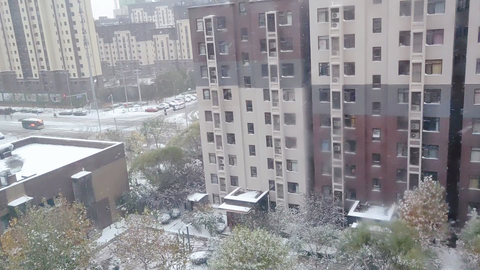 [图]北京：北方吹，雪花飘……