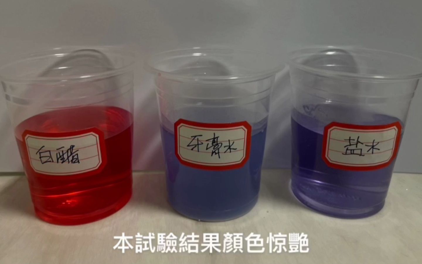 8下暑假实践系列,wys南同学,制作酸碱指示剂