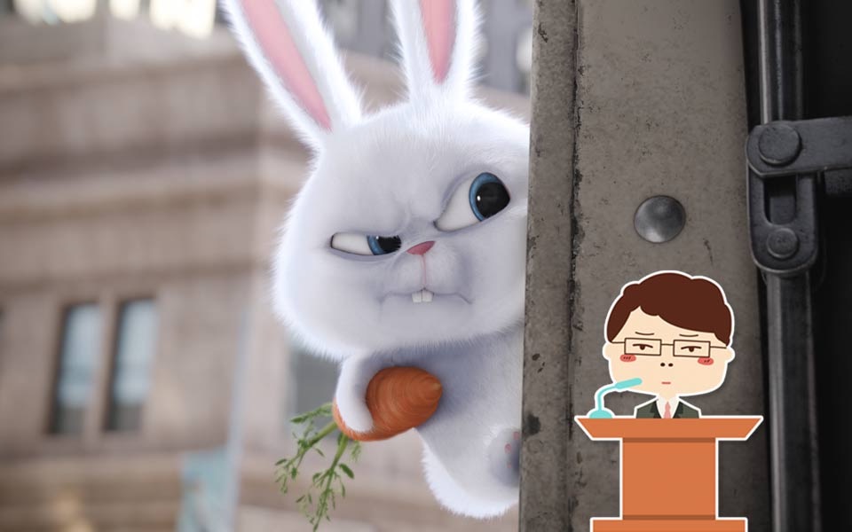 【刘老师】爆笑解说狗富贵勿相忘的动画电影《爱宠大机密》_哔哩哔哩