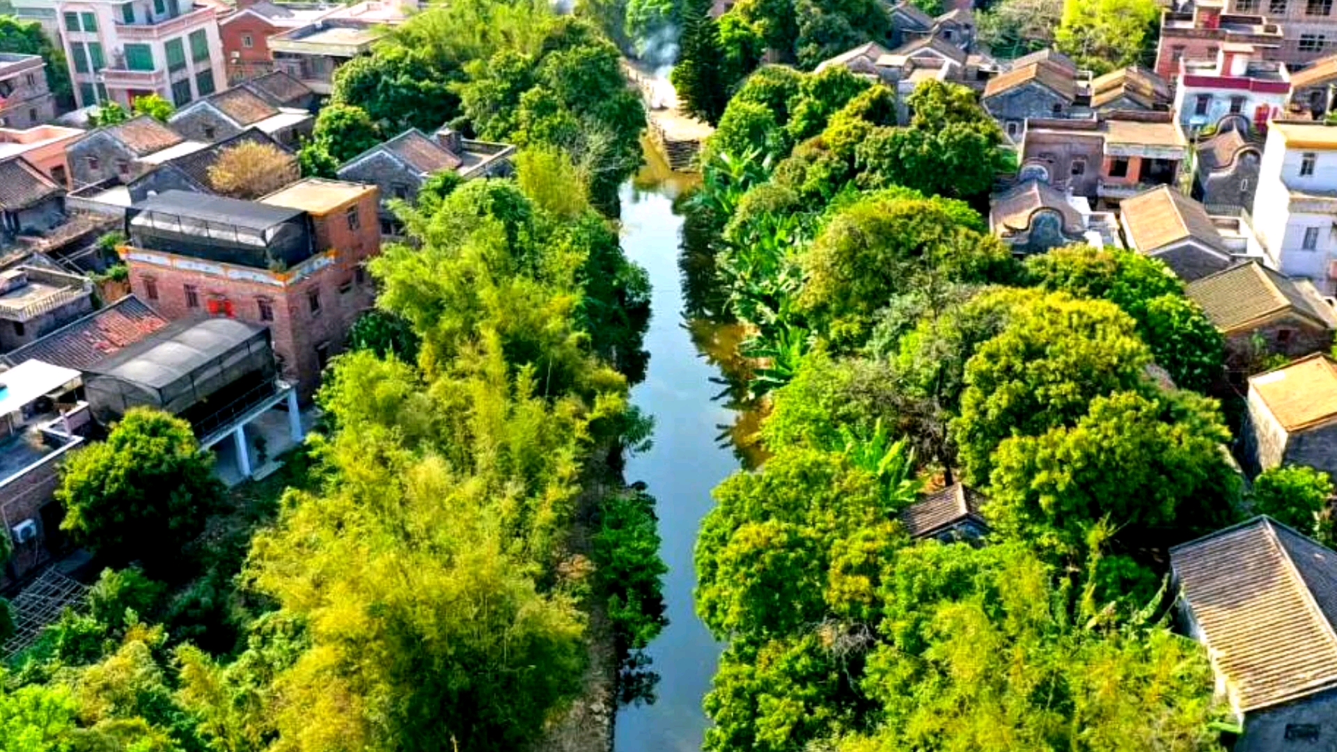 老宅新路鲜花,小桥流水人家,佛山三水白坭古镇