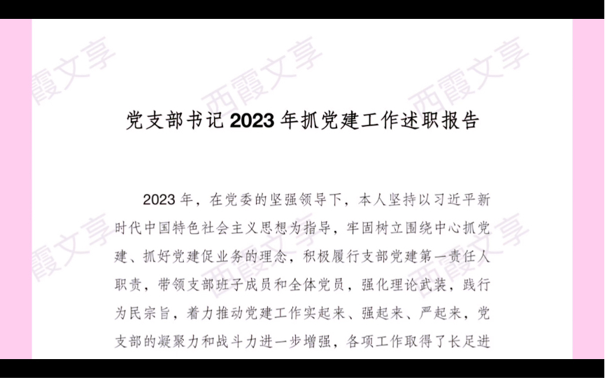 党支部书记2023年抓党建工作述职报告哔哩哔哩bilibili