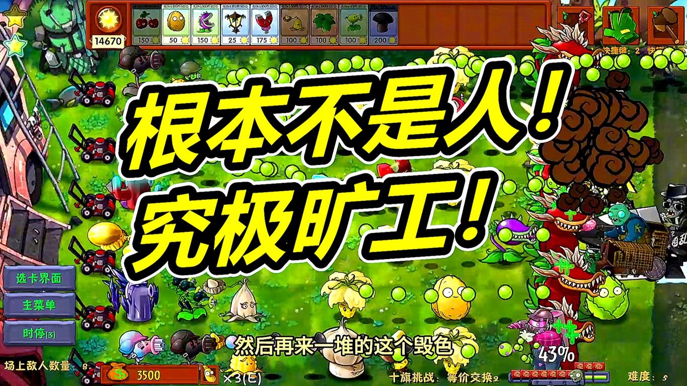 究极矿工僵尸指针的厨神!植物大战僵尸融合版呱呱菌