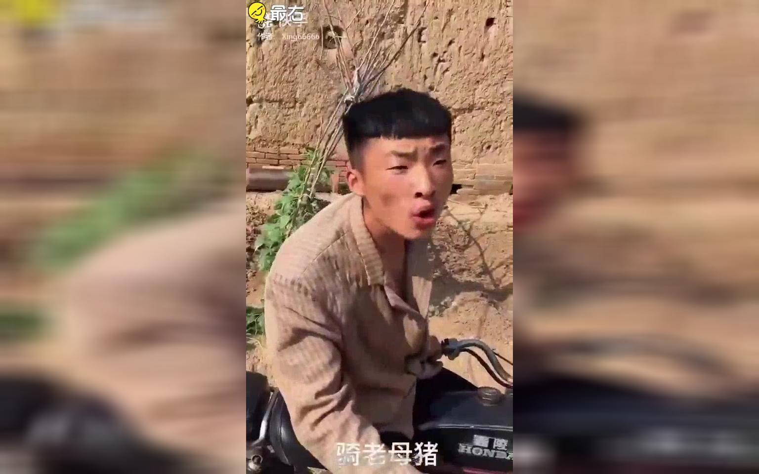 你认我做大哥,我教你骑猪哔哩哔哩bilibili