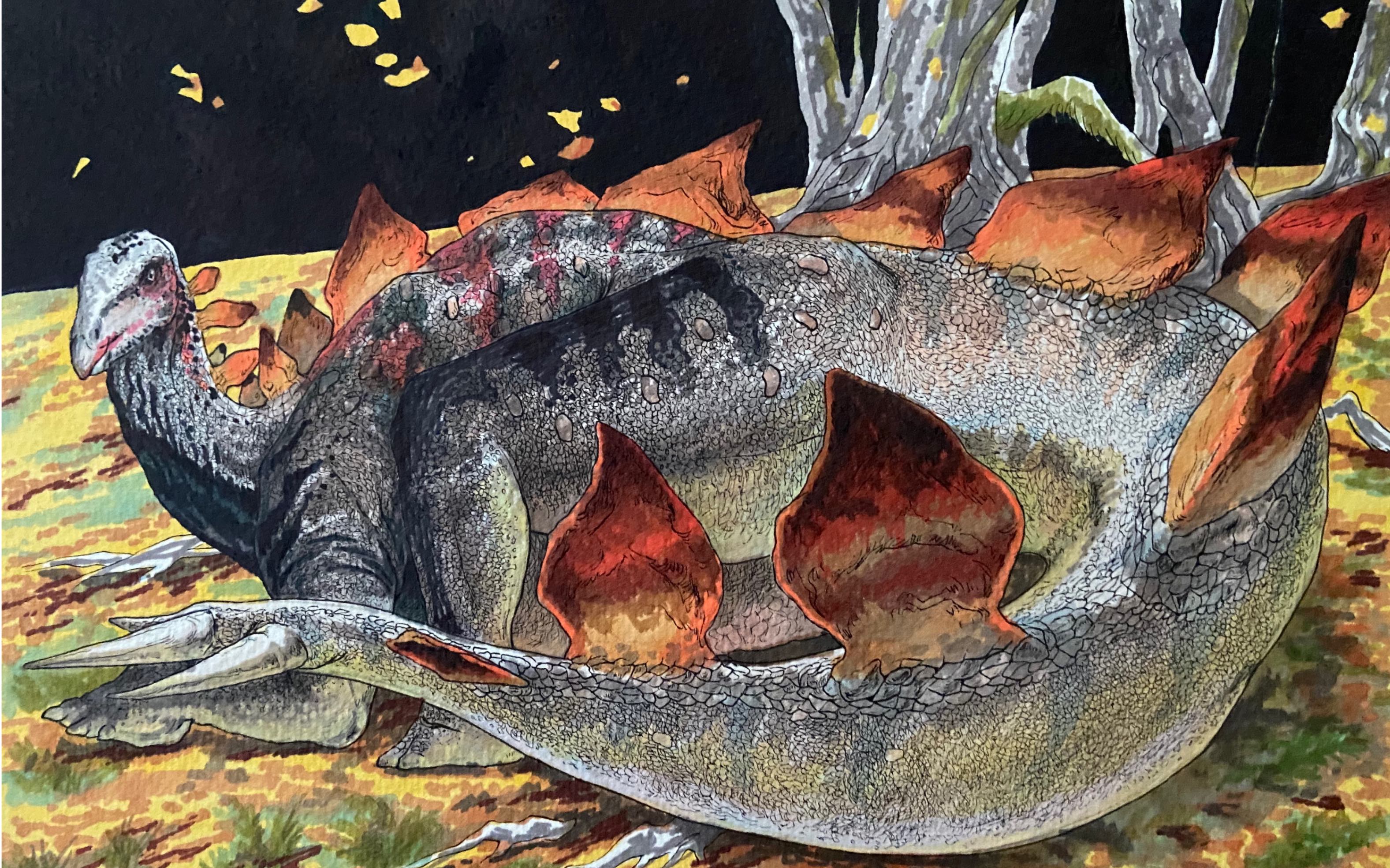 neil马克笔插画剑龙装架复原比水彩难度低的马克笔来咯