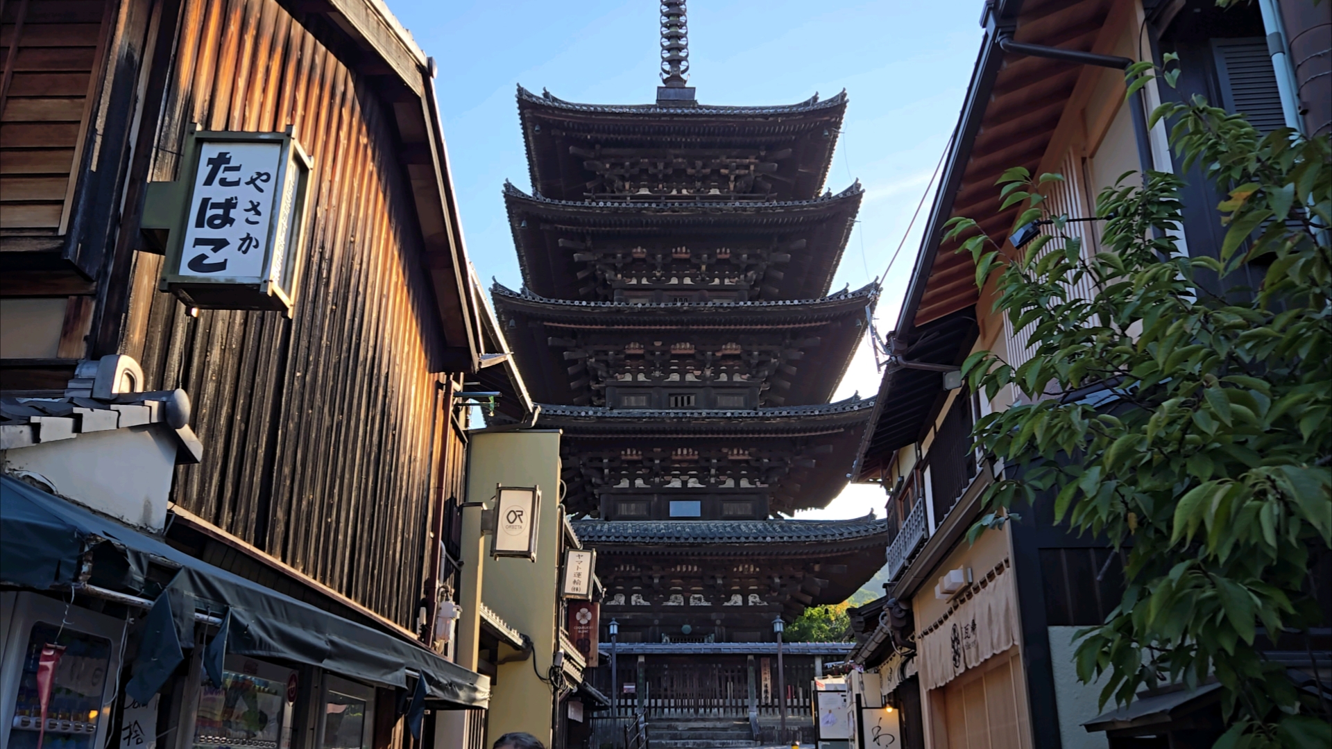 日本去哪旅游比较好(日本去哪旅游比较好玩)