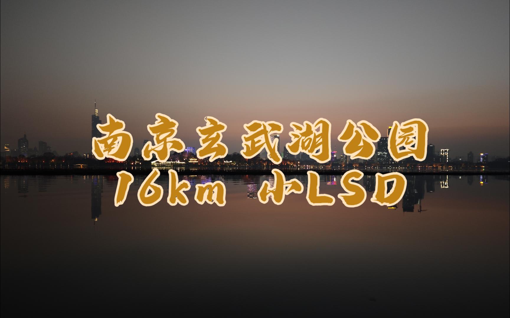 【南京玄武湖夜跑】环湖打卡16km,绿道路况太好了
