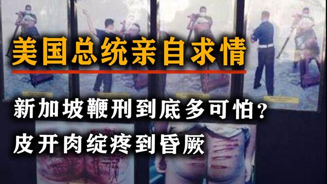 新加坡死刑/-哔哩哔哩_bilibili