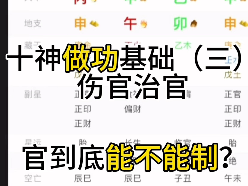 盲派极速讲解伤官制官、最刺激的组合!哔哩哔哩bilibili