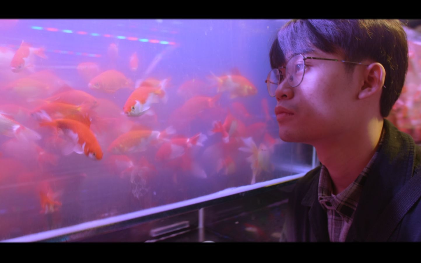 活动作品模仿王家卫重庆森林用抽帧的拍摄记录一次失恋