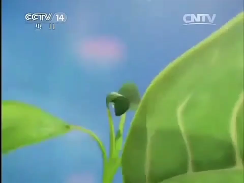 cctv14少兒頻道2013罕見版本