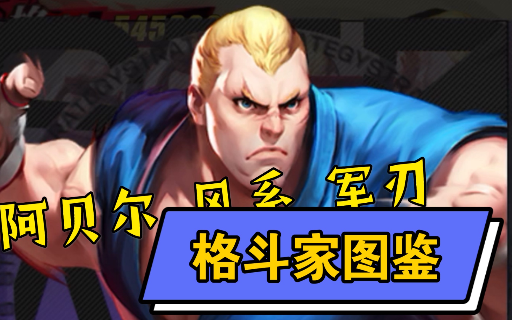 街霸-对决:格斗家图鉴9(a阿贝尔 风系 军刃)