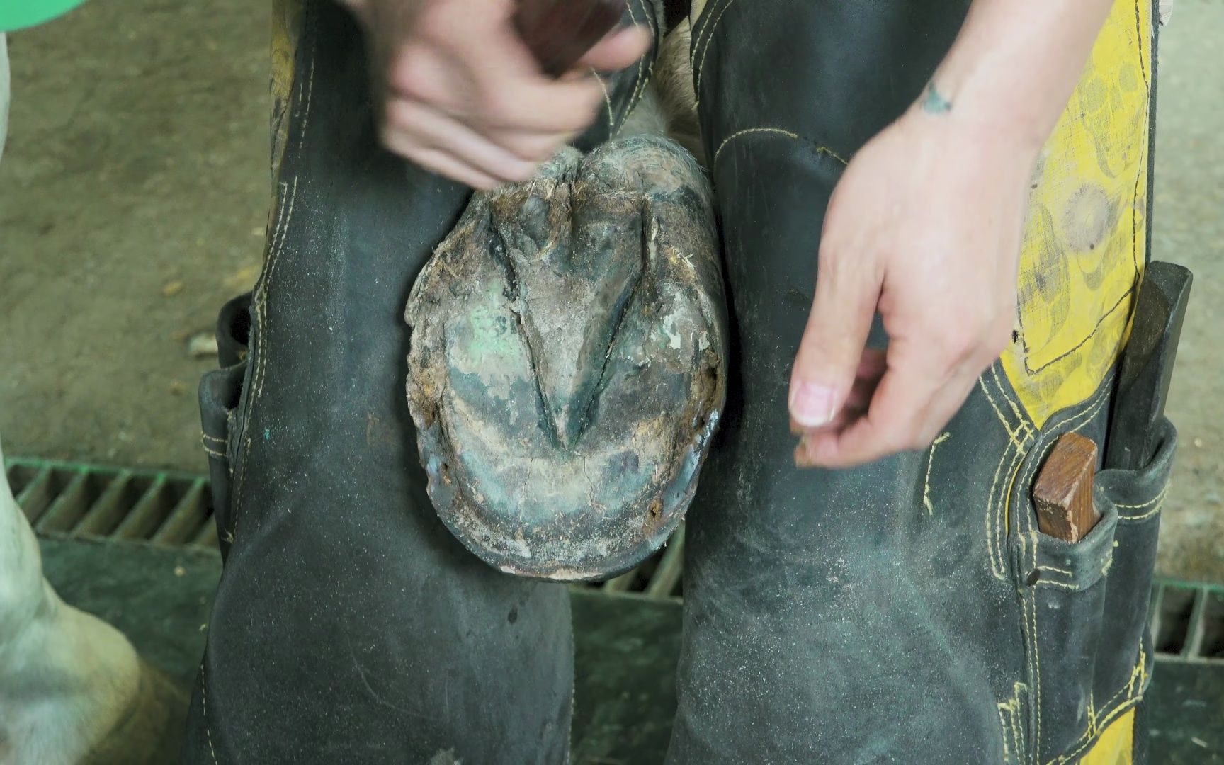 4. _4k_ asmr how to wear expensive horseshoes