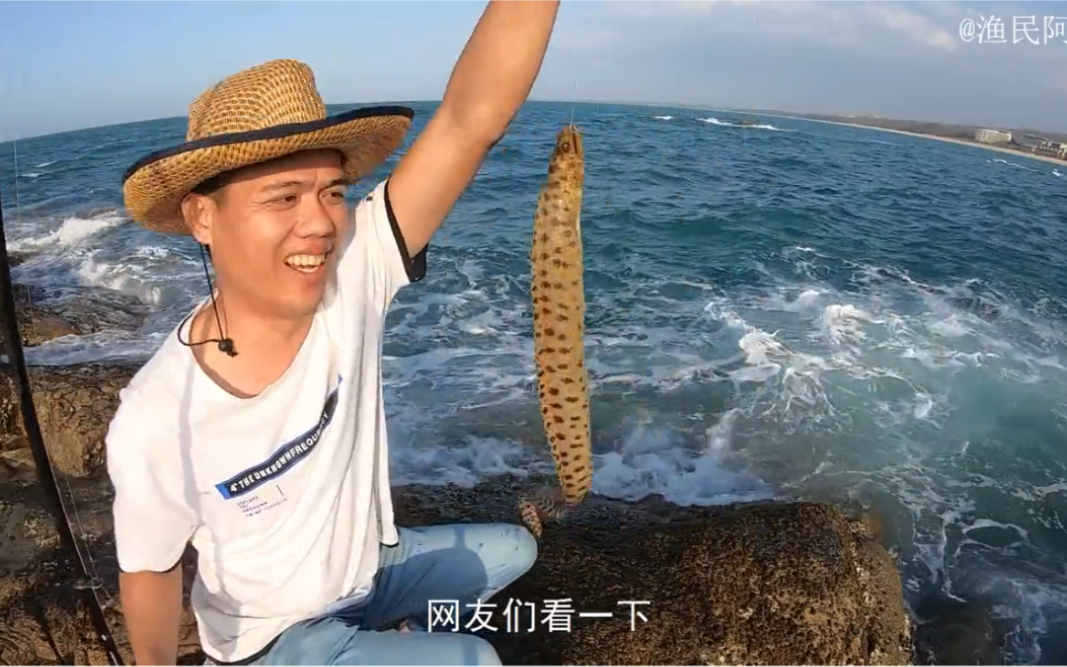 阿平到老地方赶海钓鱼渔货一条接着一条拉还意外中了一条花龙