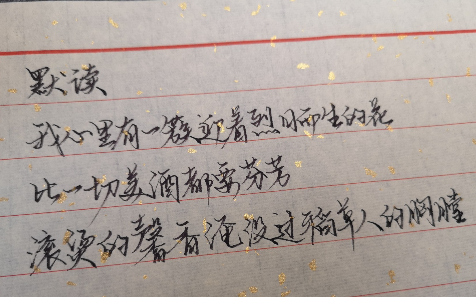(手写)默读-我心里有一簇迎着烈日而生的花.