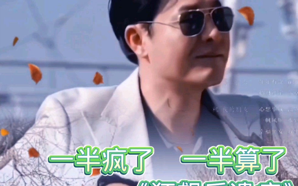 一半疯了一半算了 B站