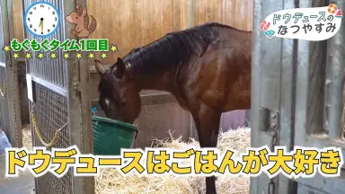 ドウデュース-哔哩哔哩_Bilibili