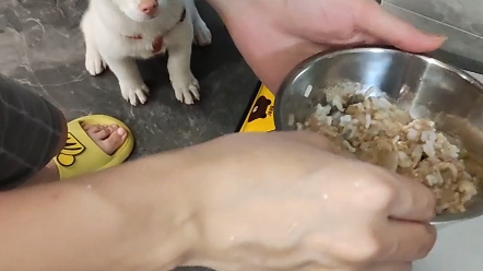 肠胃差要罐头混饭