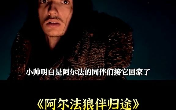 [图]少年与狼相依为命，只为找到回家的路，冒险《阿尔法·狼伴为途》(2)