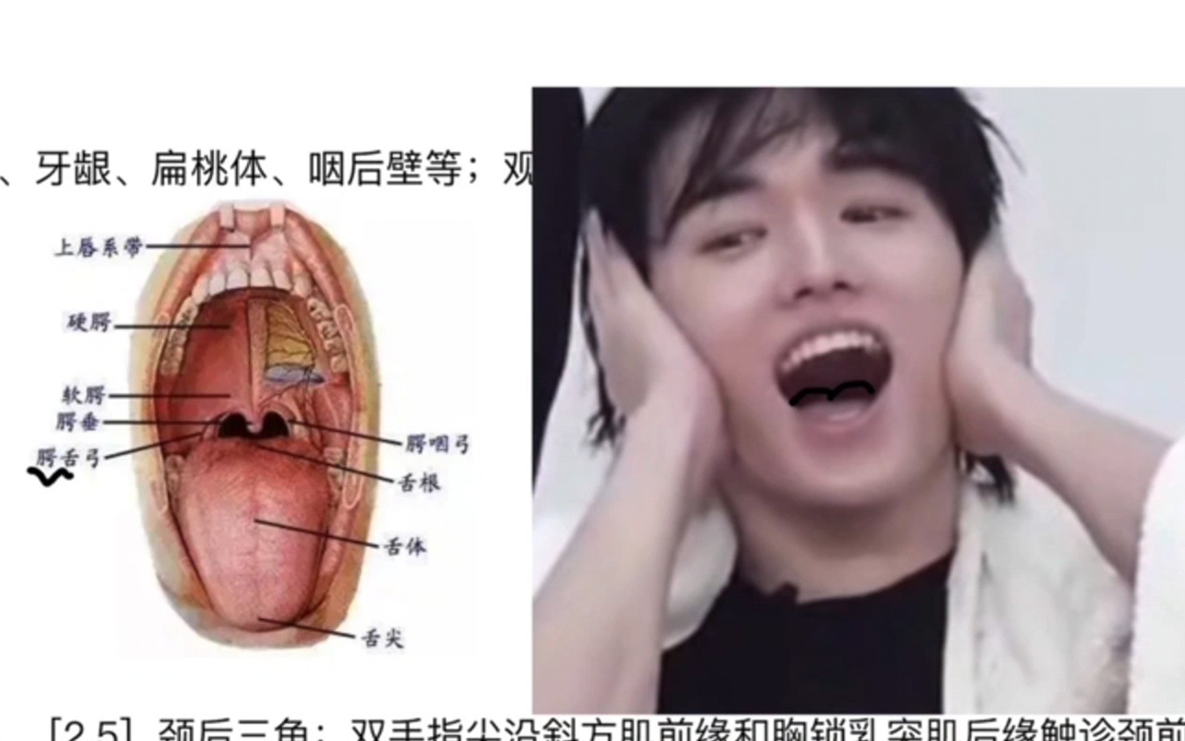 《关于学医的粉丝看到亚轩完美口腔截图作为素材这件事》学到了学到了哈哈哈哔哩哔哩bilibili