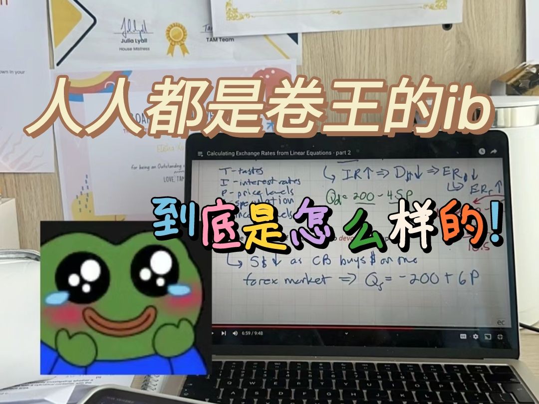 人人都是卷王的ib,ib到底是怎么样的!哔哩哔哩bilibili