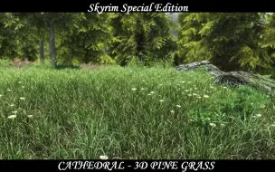 Download Video: 上古卷轴5材质：大教堂3D草与同类MOD对比 Cathedral - 3D Pine Grass