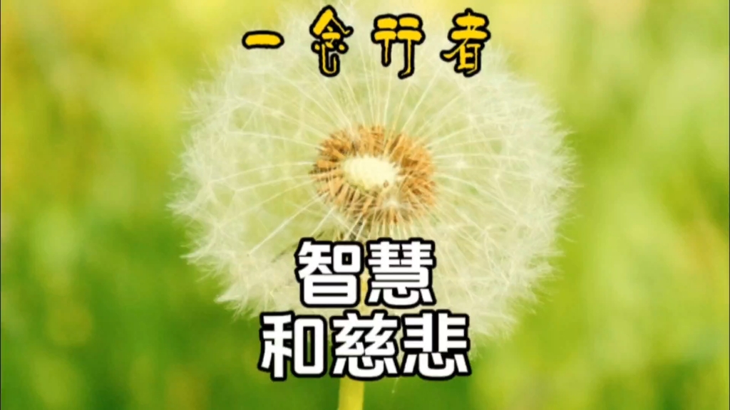 智慧和慈悲——一念行者