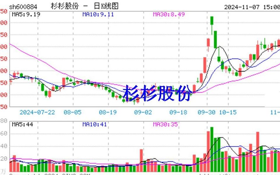 杉杉股份还闹腾呢?股民维权已开启了哔哩哔哩bilibili