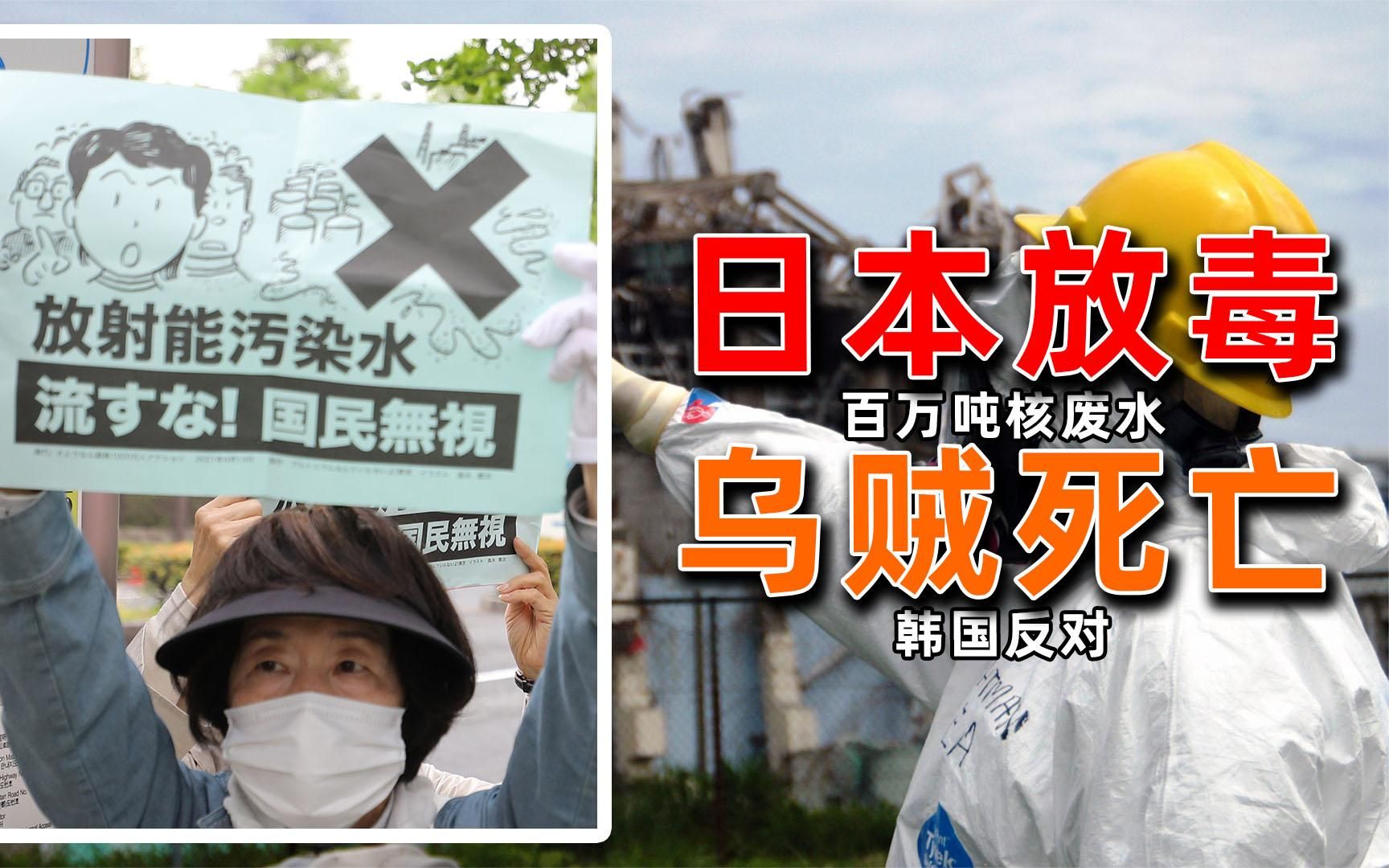日本排放核废水的报应来了?乌贼大量死亡,当地渔民都不敢吃!