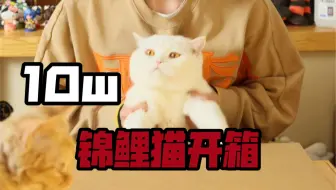 果然是锦鲤，10w开箱，久等了！