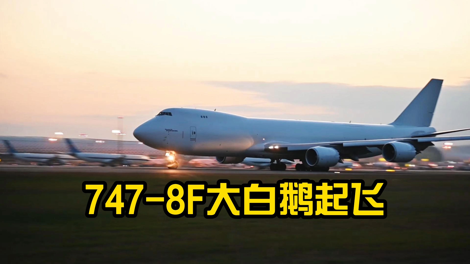 747大白鹅图片