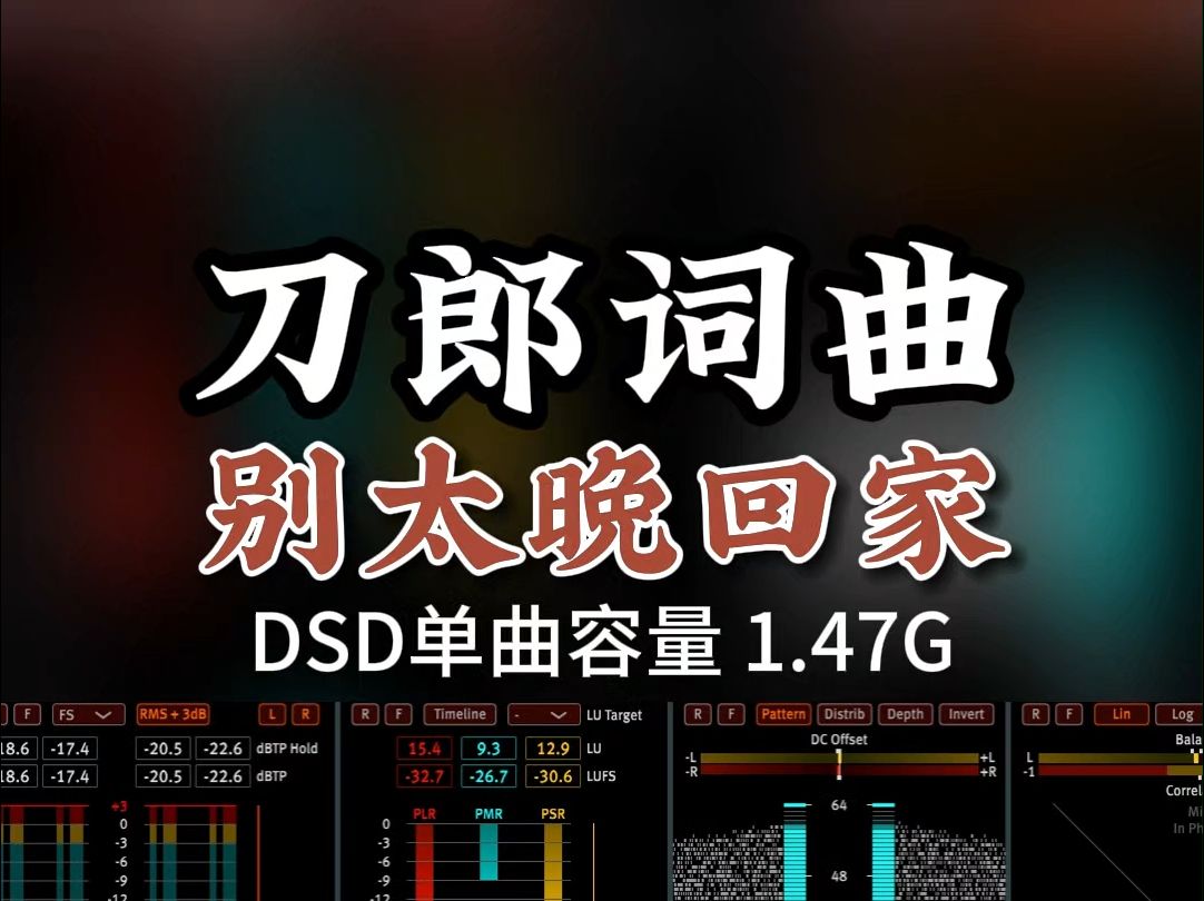 刀郎作词作曲,黄灿《别太晚回家》,DSD完整版1.47G,百万调音师专业录音棚制作,顶级hifi无损音质哔哩哔哩bilibili