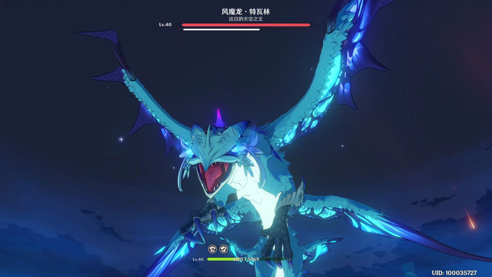 原神 风龙