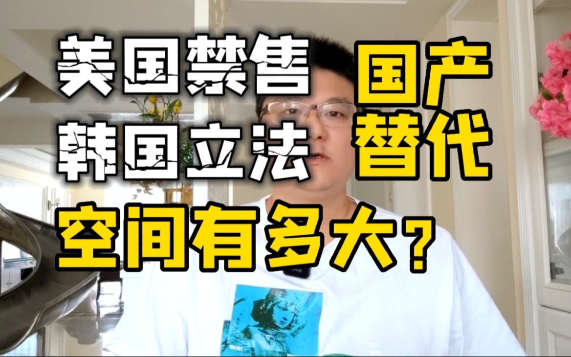 美国禁售,韩国立法,芯片持续火爆!国产替代的空间有多大?哔哩哔哩bilibili