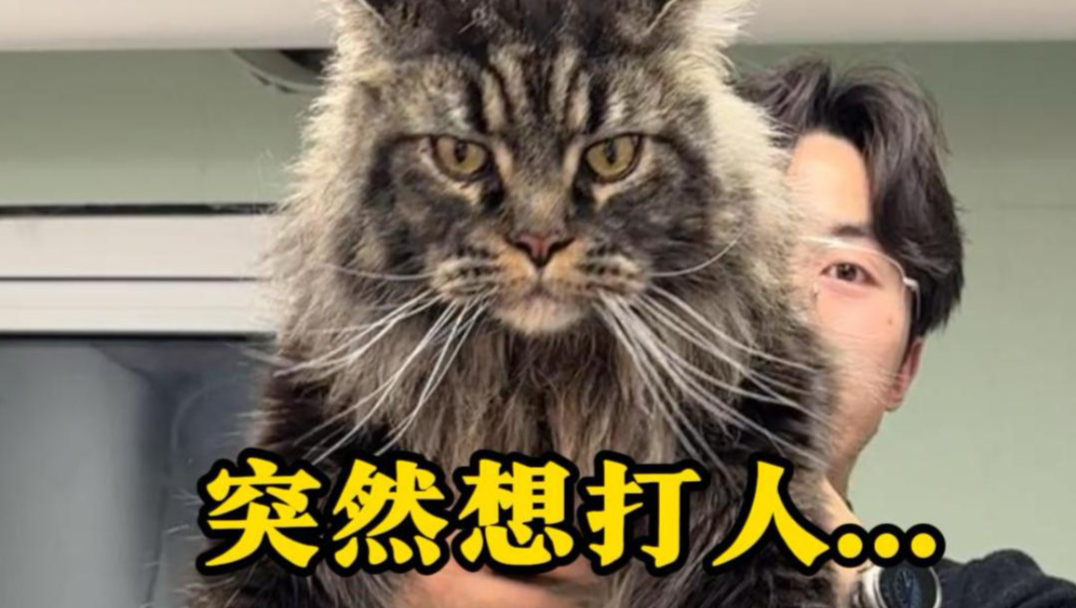 小家伙来了几次了，怎么还控制不了自己呢