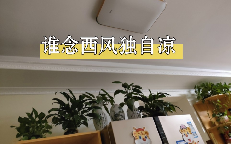 [图]每天打卡一首古诗词：浣溪沙丶谁念西风独自凉 （清朝）纳兰性德