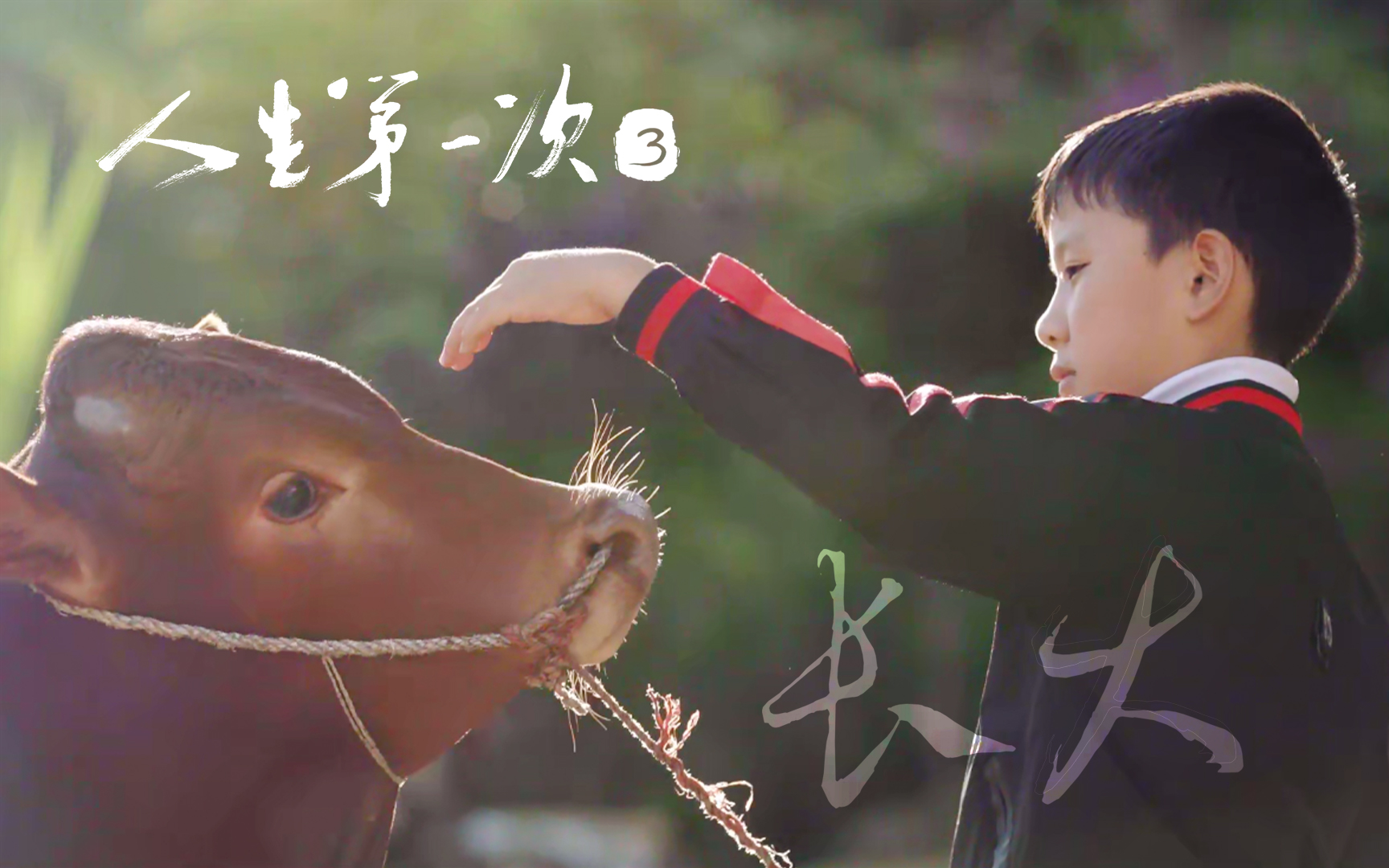 《人生第一次》第3集 长大 | 我在爸妈看不到的地方偷偷长大