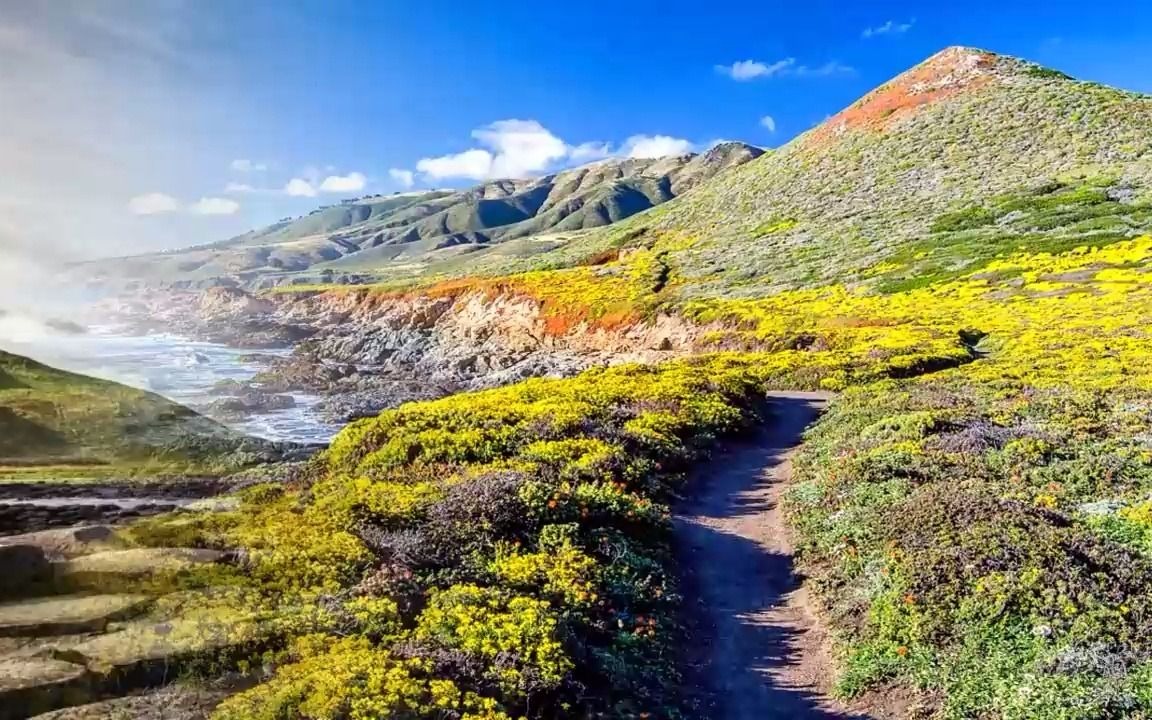 李熙墨从小白成长为情趣高手