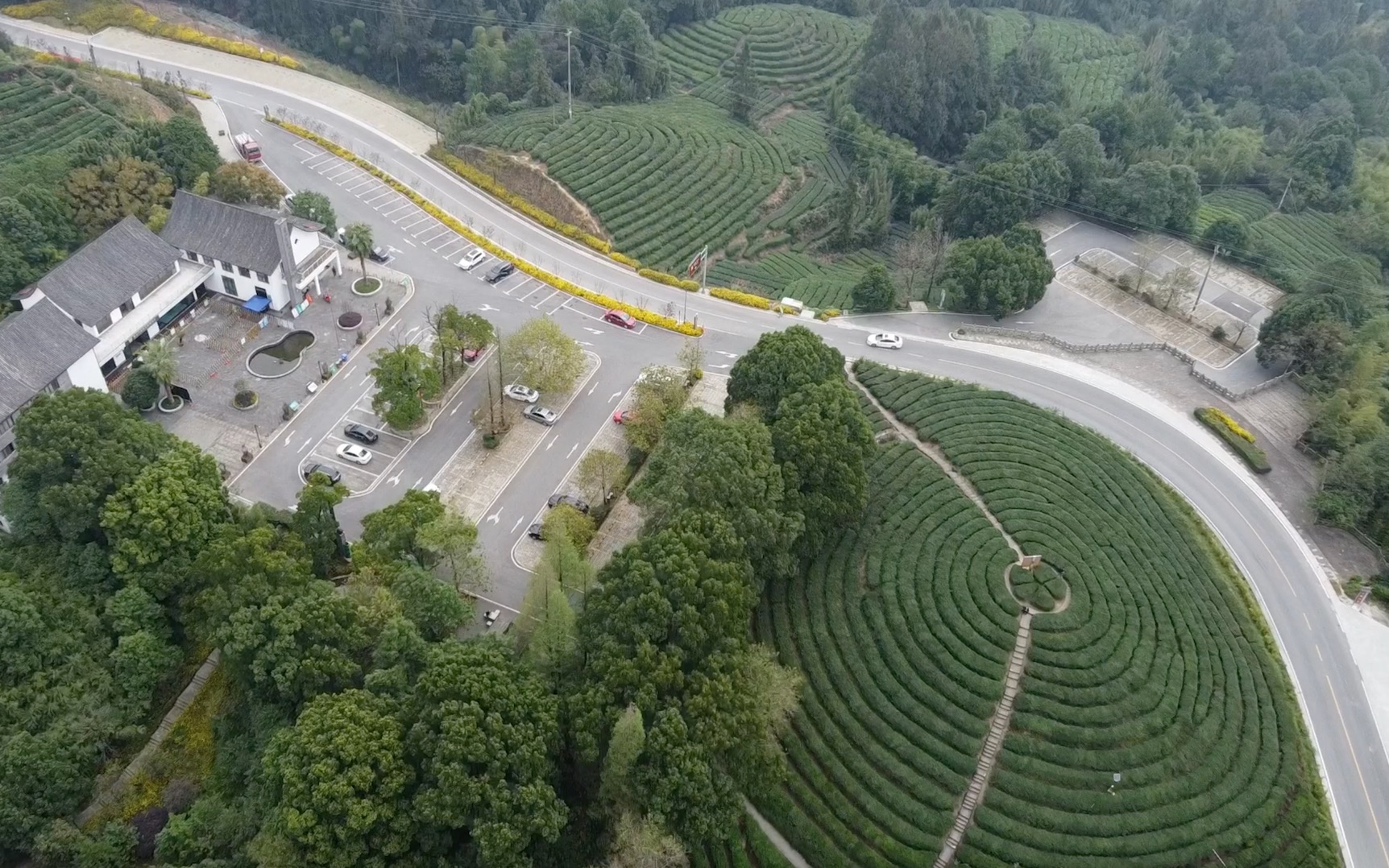 [图]【含4K】重庆永川秀芽茶山行 | 绿水青山就是金山银山 | 喧嚣中的一抹宁静