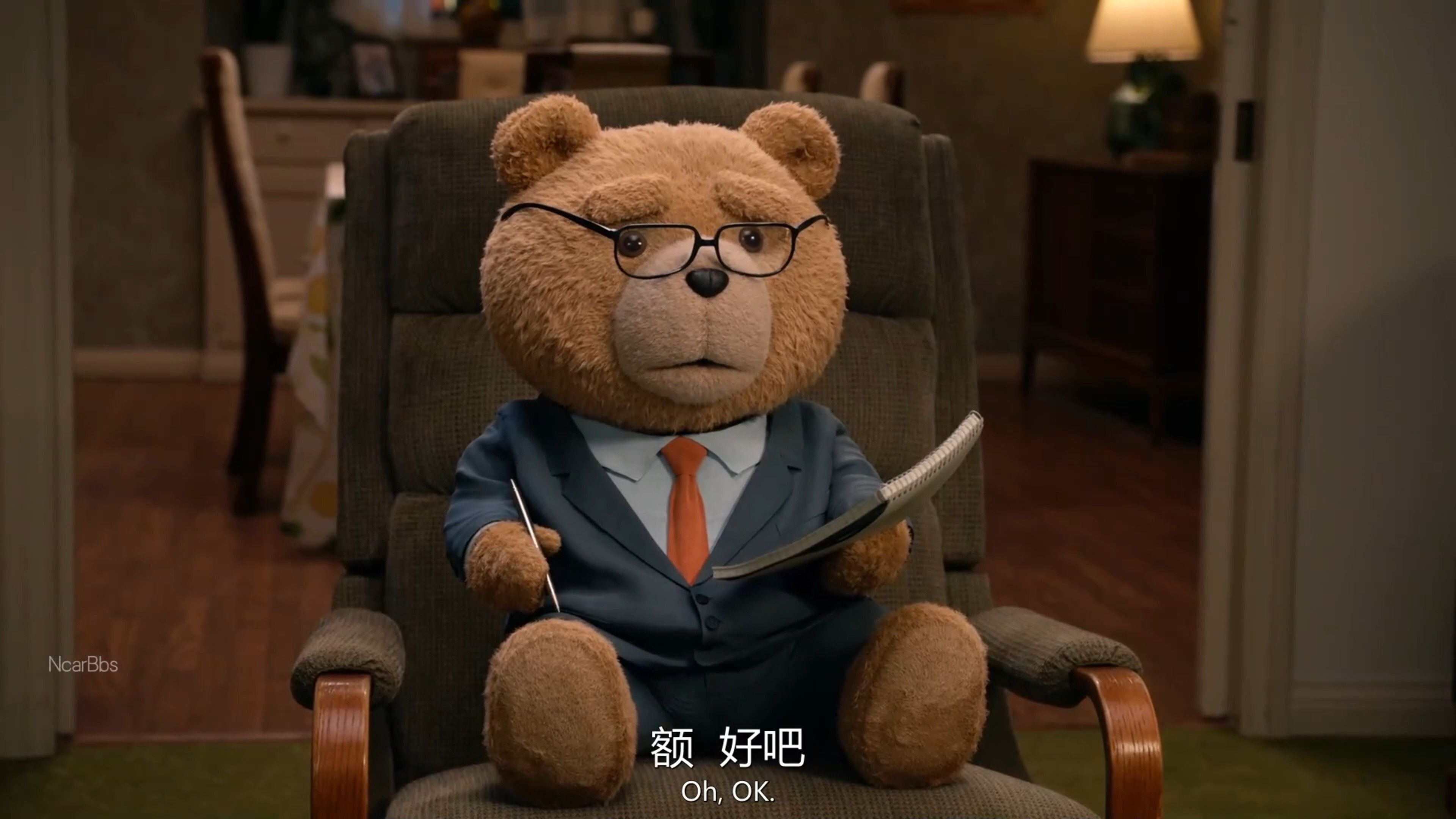 《泰迪熊》出生泰迪成为家庭情感师