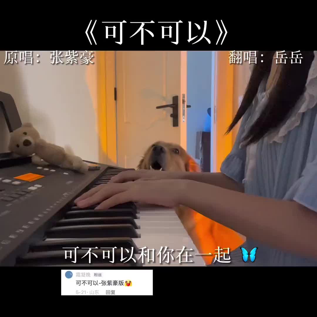 可不可以清唱翻唱歌曲情窦初开遇到你