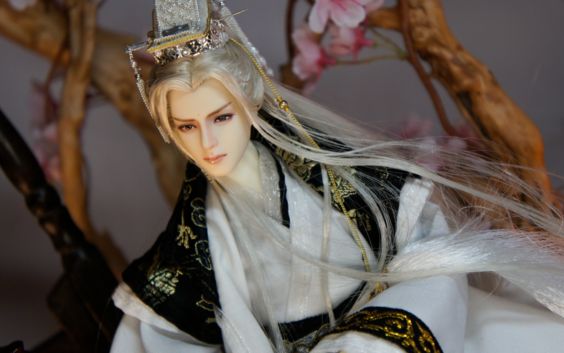 【人偶】医天子单头 古风男娃娃 霹雳布袋戏_哔哩哔哩_bilibili