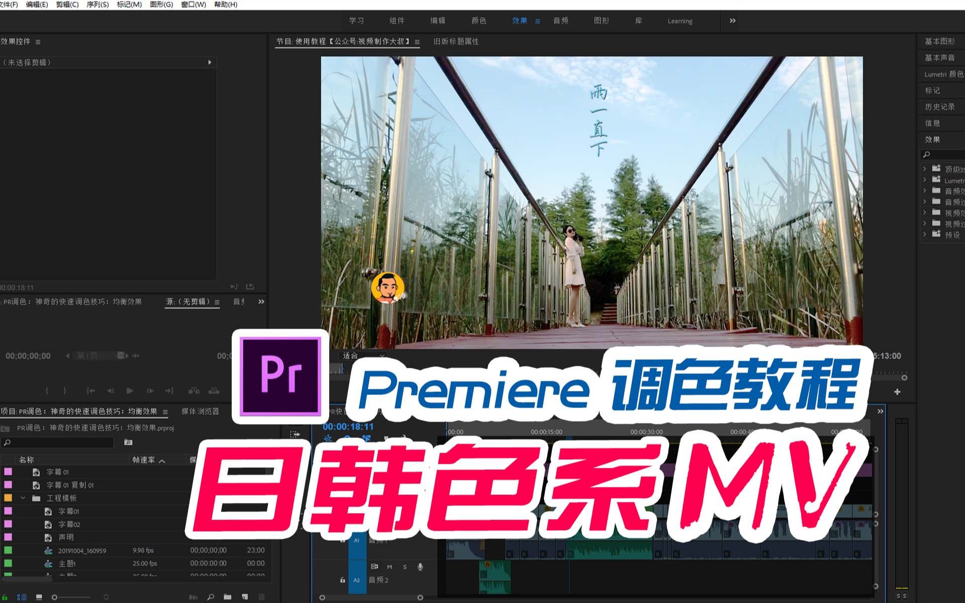 Premiere 如何快速制作日韩色系MV!思维比技术更重要!哔哩哔哩bilibili